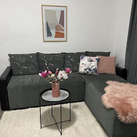 Apartman Aleksic Jagodina Eksteriør bilde