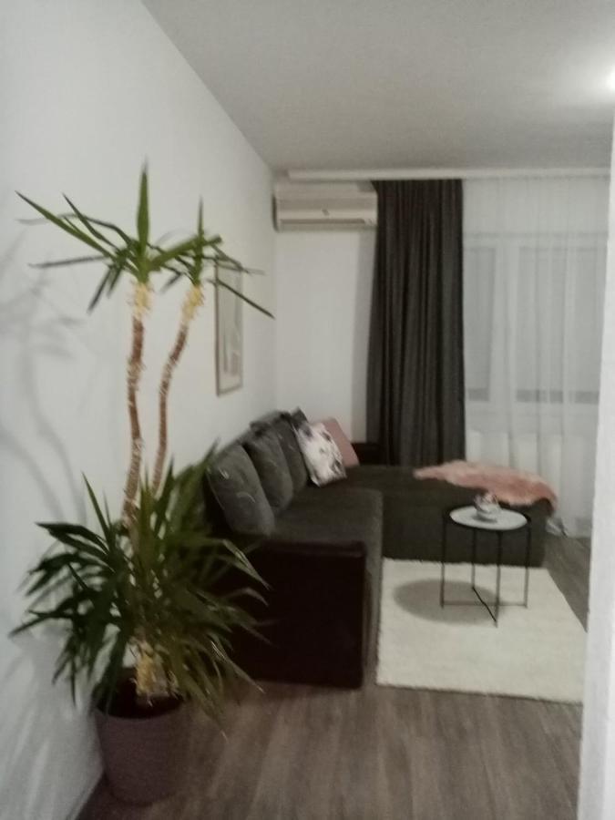 Apartman Aleksic Jagodina Eksteriør bilde