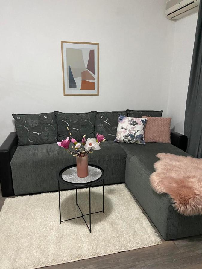 Apartman Aleksic Jagodina Eksteriør bilde