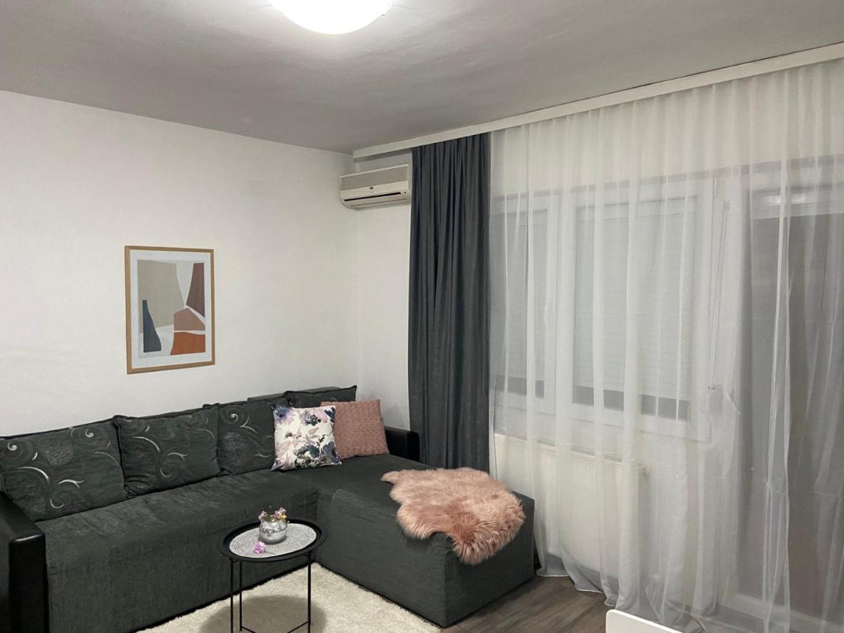 Apartman Aleksic Jagodina Eksteriør bilde